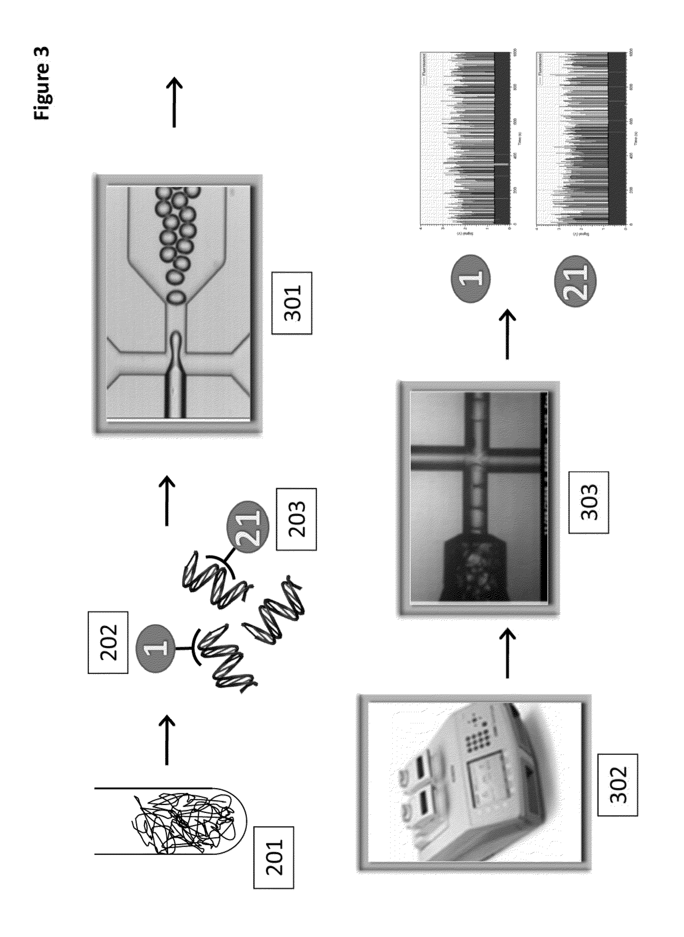 Methods and compositions for detecting genetic material