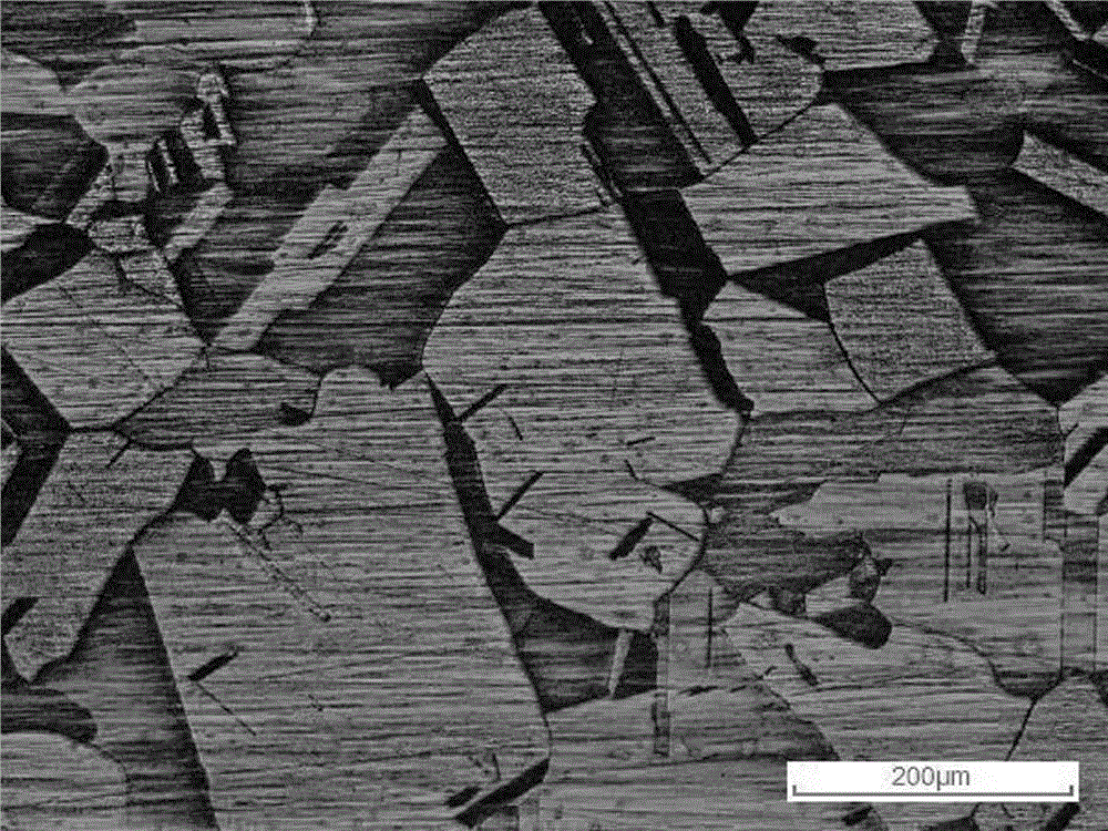 Preparation method of large-size high-pure copper flat target material