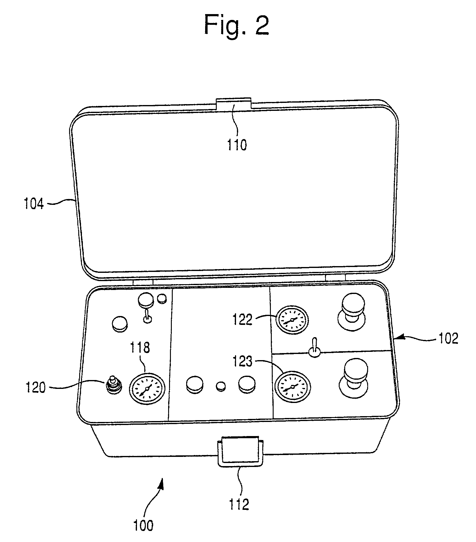 Bladder pump for liquid sampling and collecting