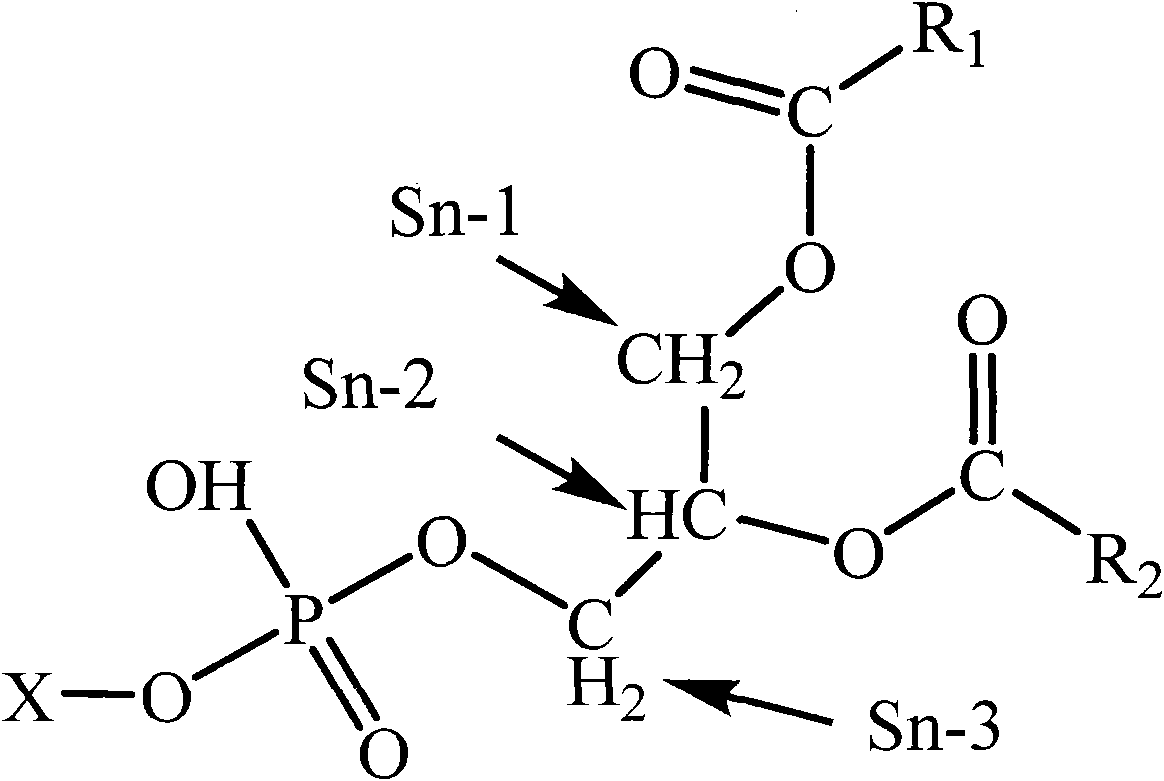 Method for preparing high quality Antarctic krill oil rich in phosphatidylserine containing polyunsaturated double-bonded fatty acyl