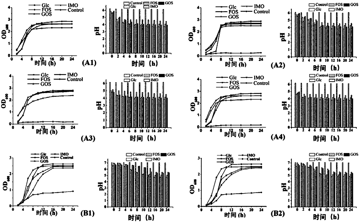 Nanofiber membrane loaded with prebiotics and/or probiotics as well as preparation and application