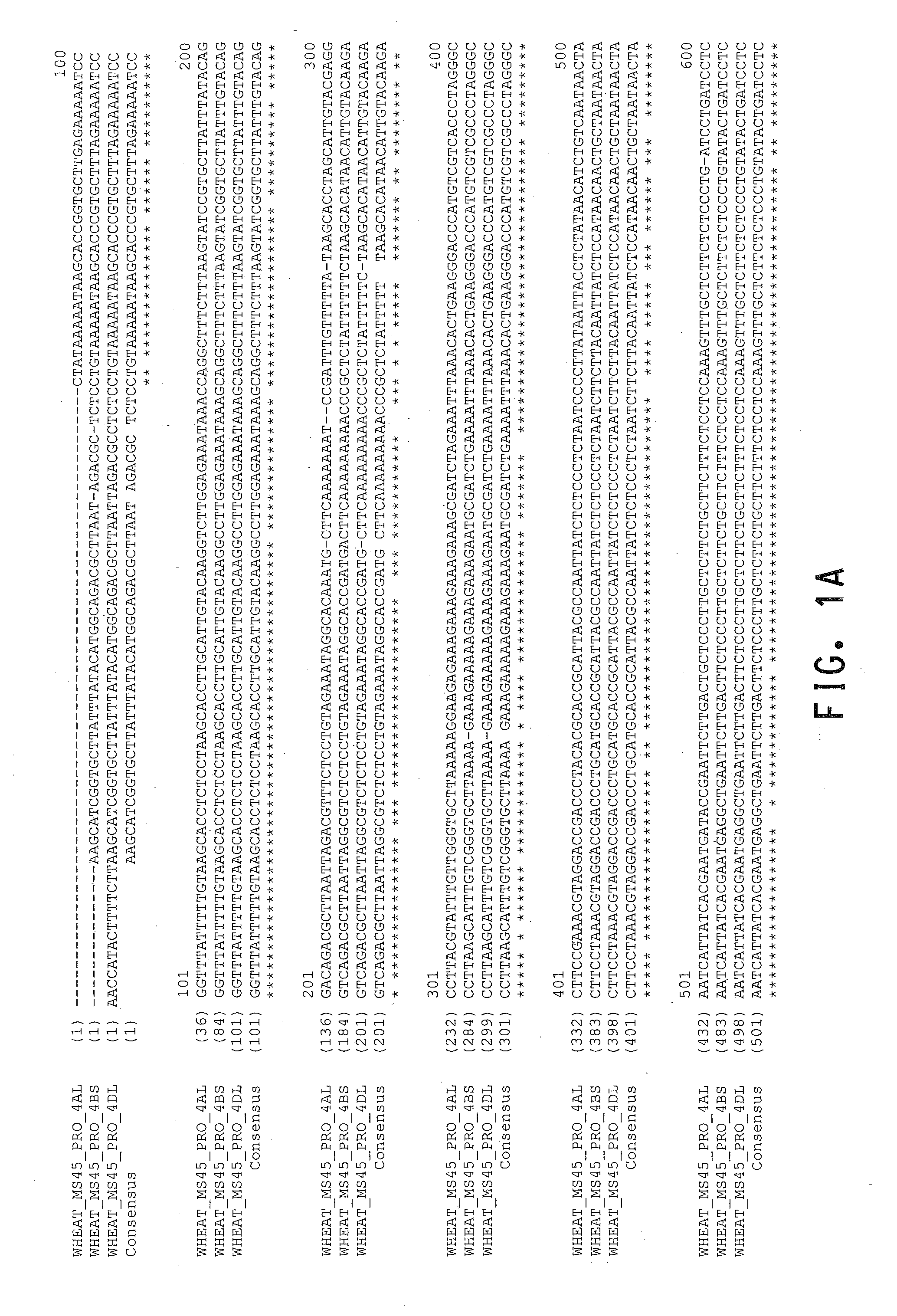 Manipulation of dominant male sterility