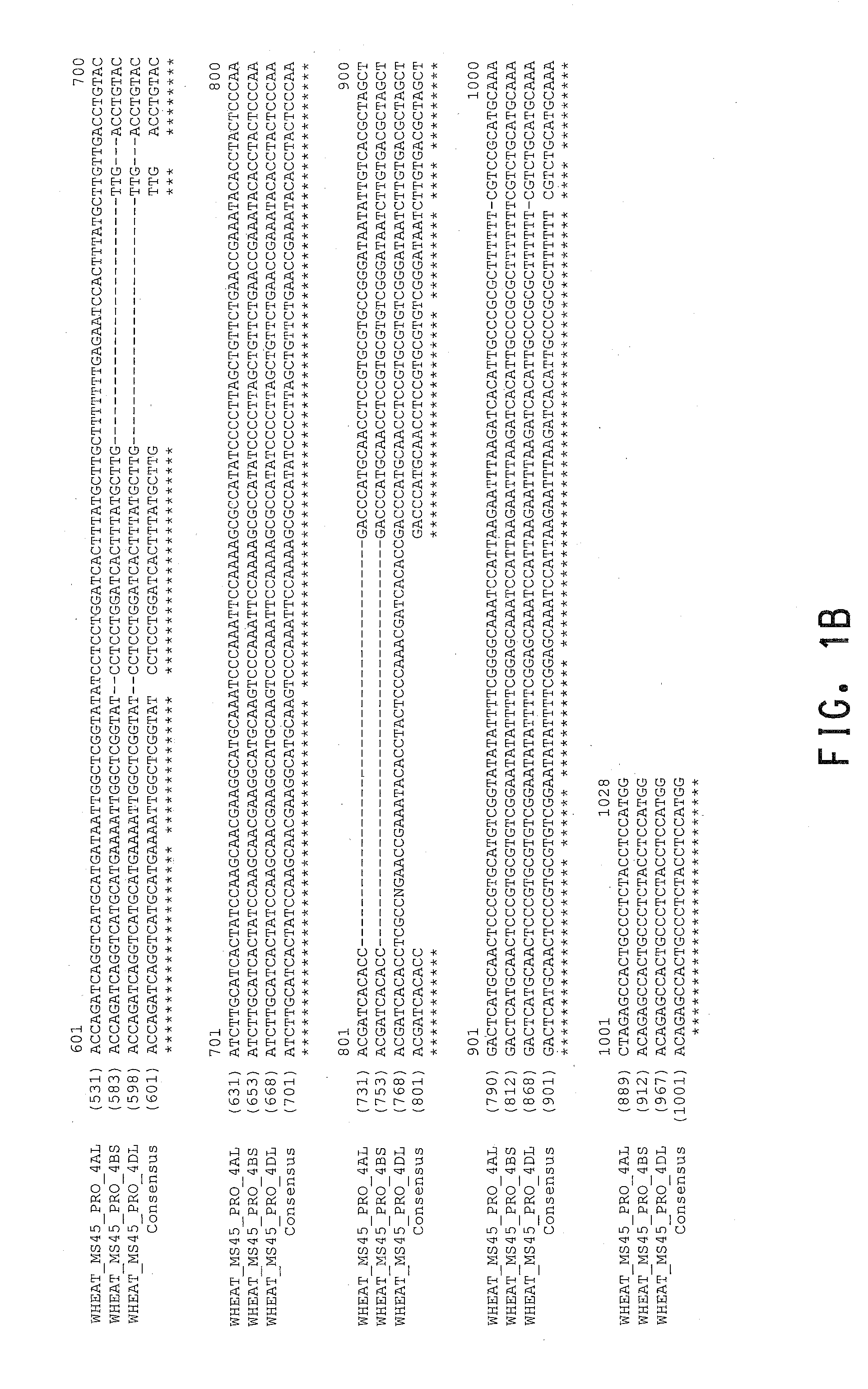 Manipulation of dominant male sterility