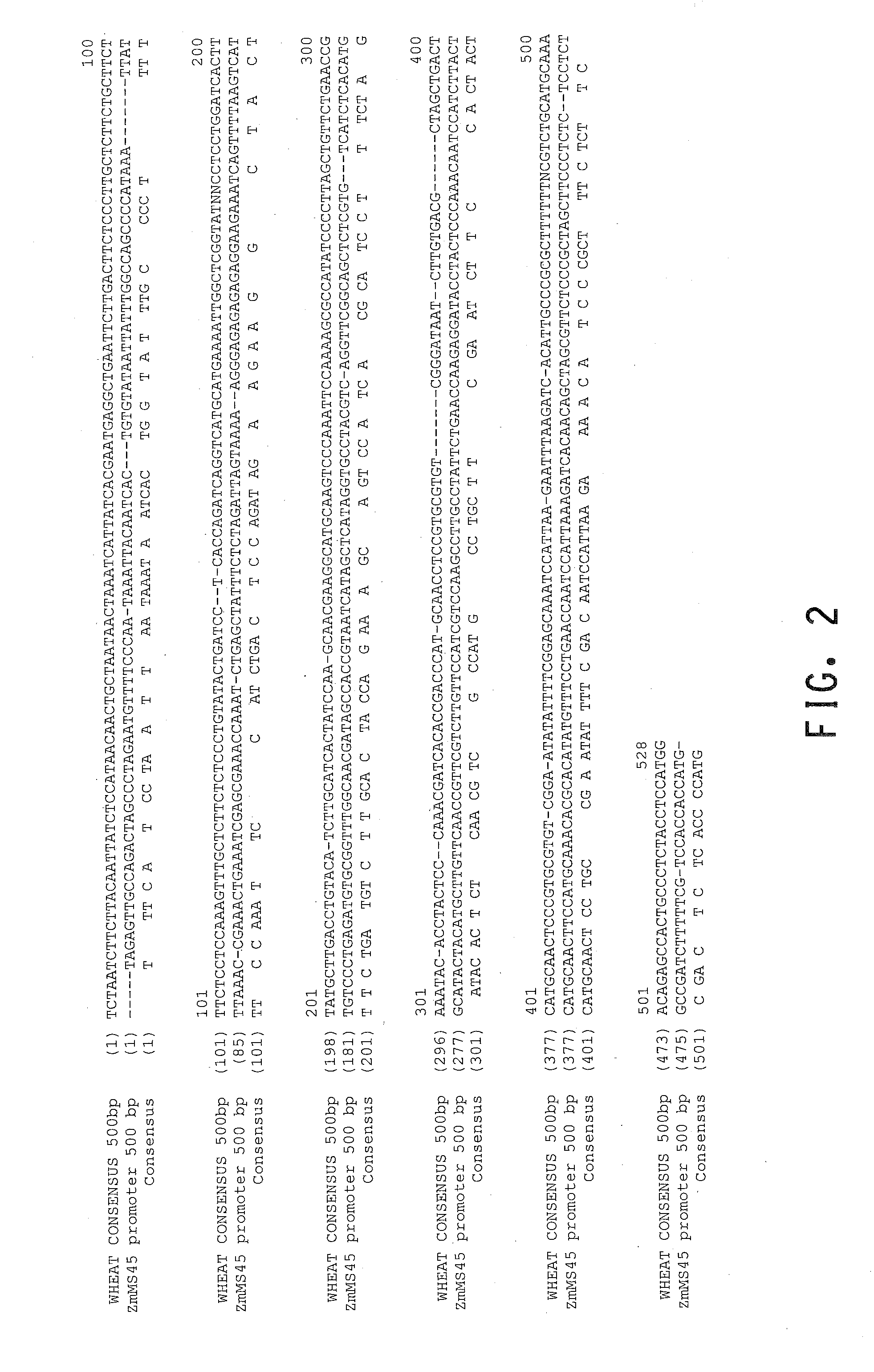 Manipulation of dominant male sterility