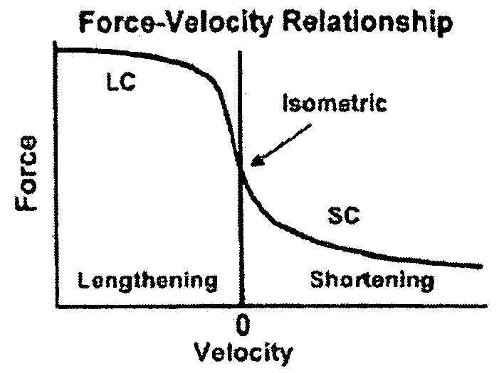 Training System and Method