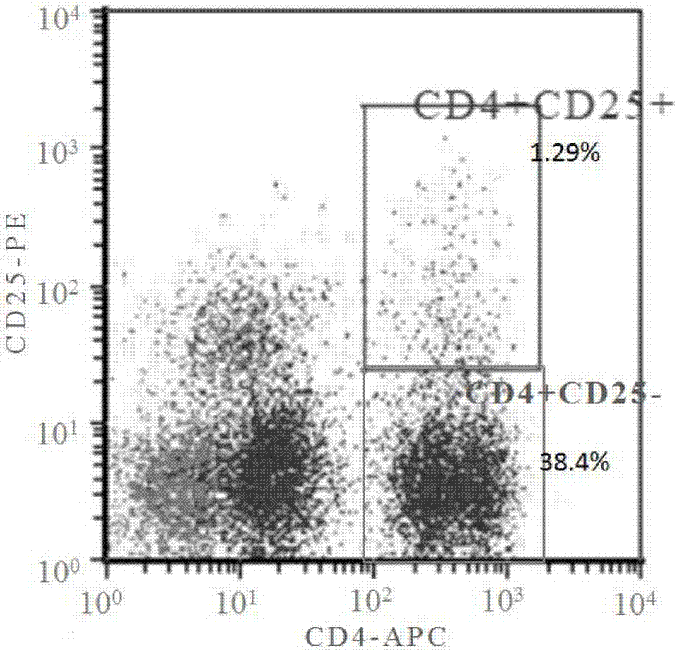 In-vitro amplification method of cord blood Treg cells