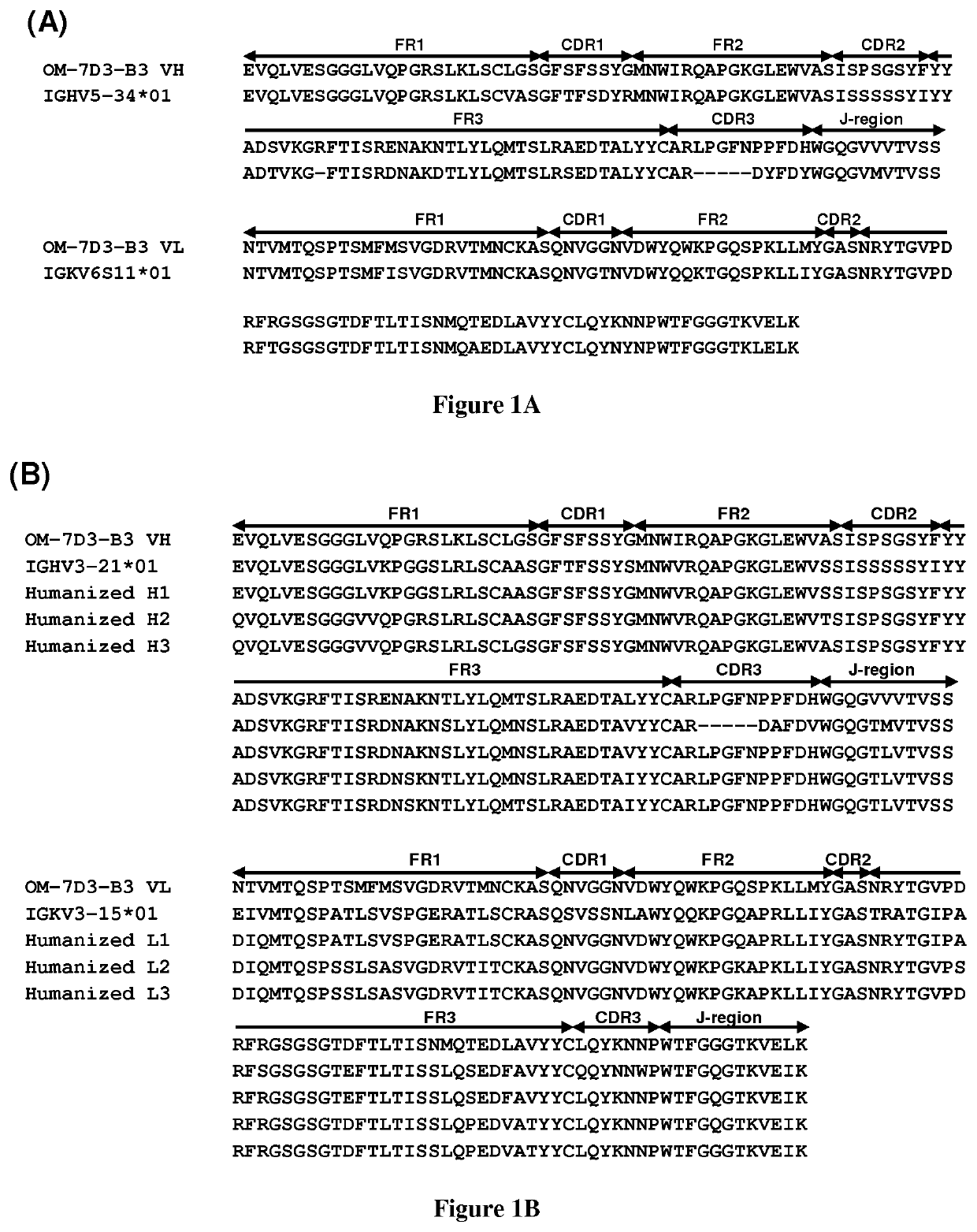 Humanized Anti-Claudin-1 Antibodies and Uses Thereof