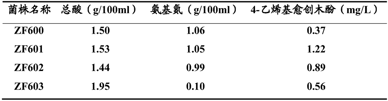 Tetragenococcus halophilus and application thereof