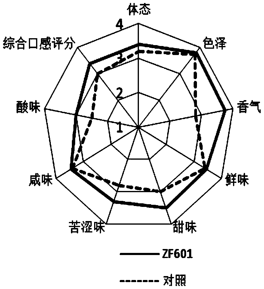 Tetragenococcus halophilus and application thereof