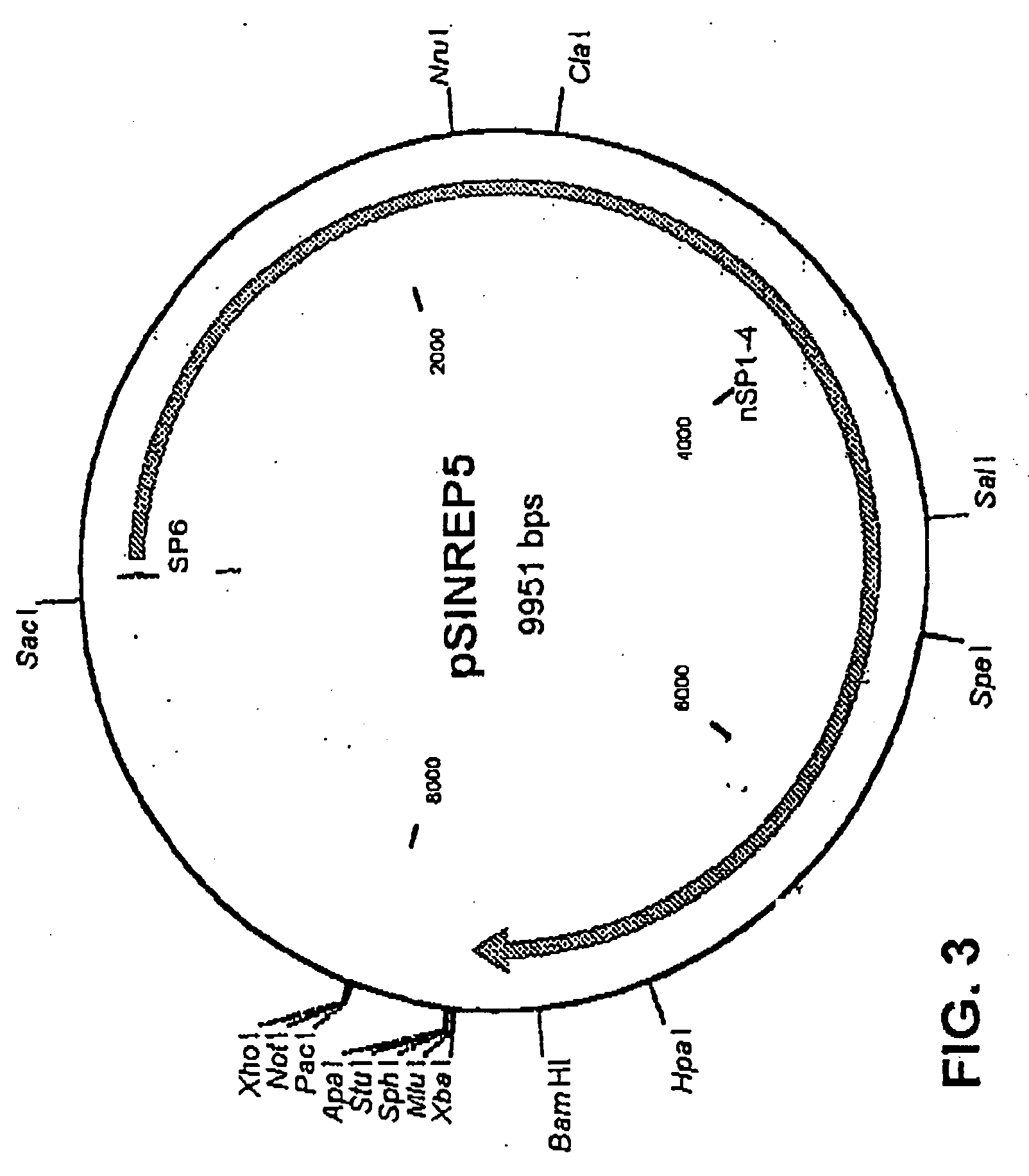 Method of preparing a treatment product, treatment product and a plasmid construct