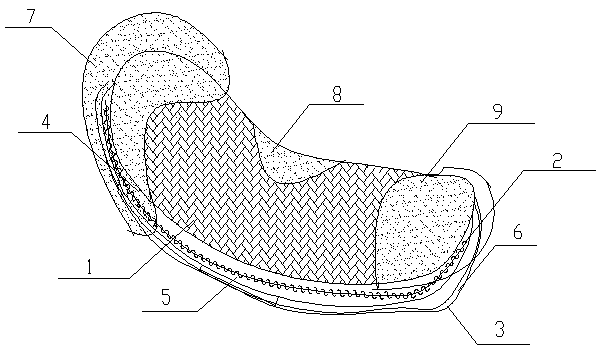 Multifunctional insole