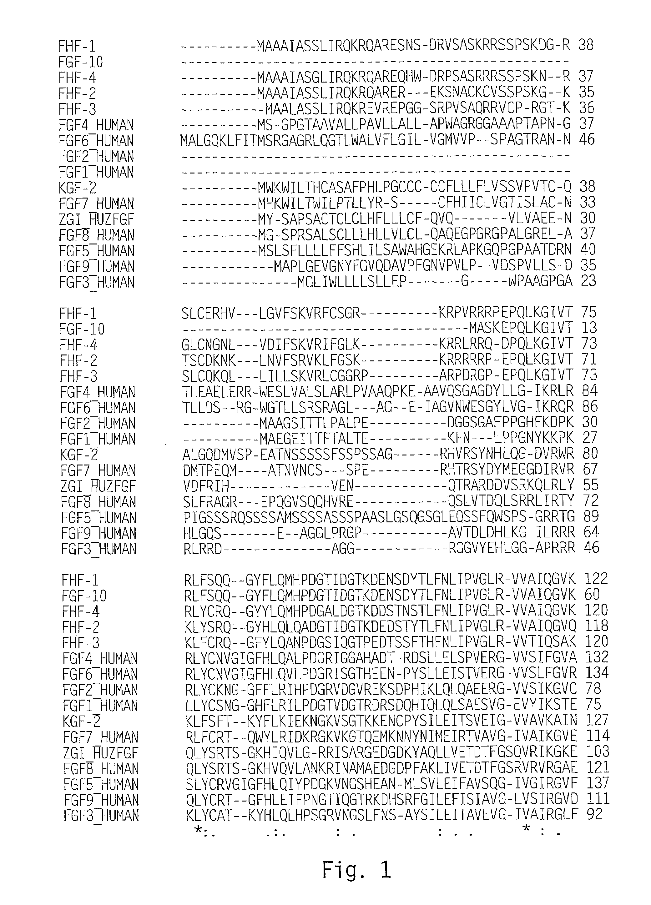 Methods of increasing cartilage deposition using FGF homologs