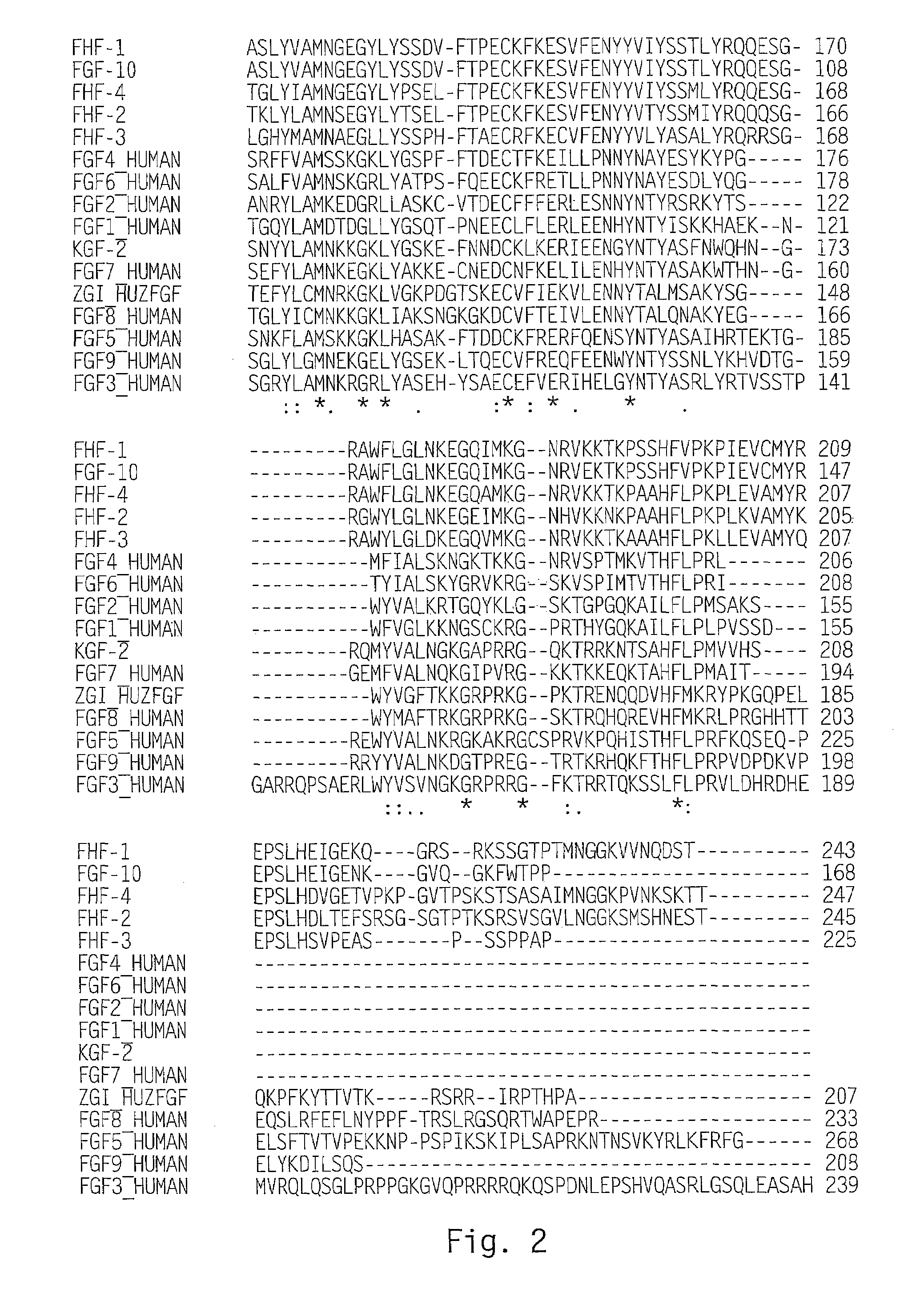 Methods of increasing cartilage deposition using FGF homologs