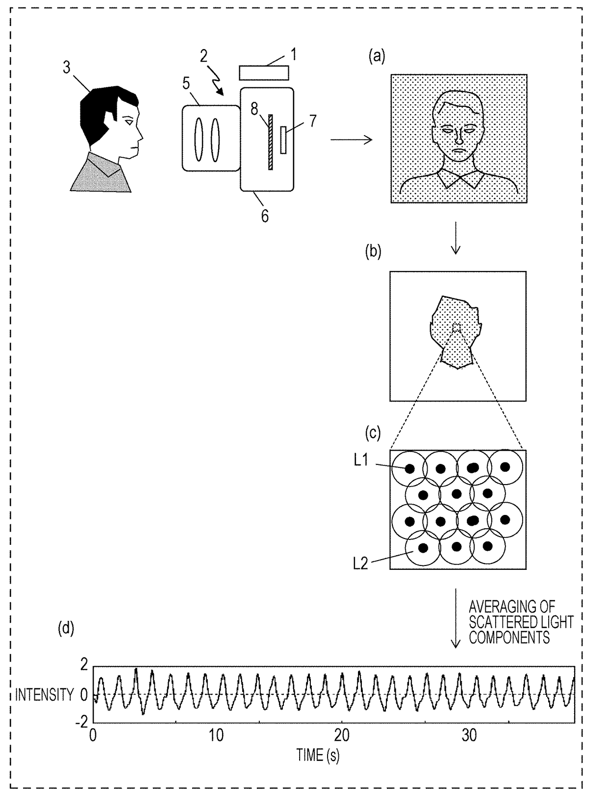 Biological information detection device using second light from target onto which dots formed by first light are projected