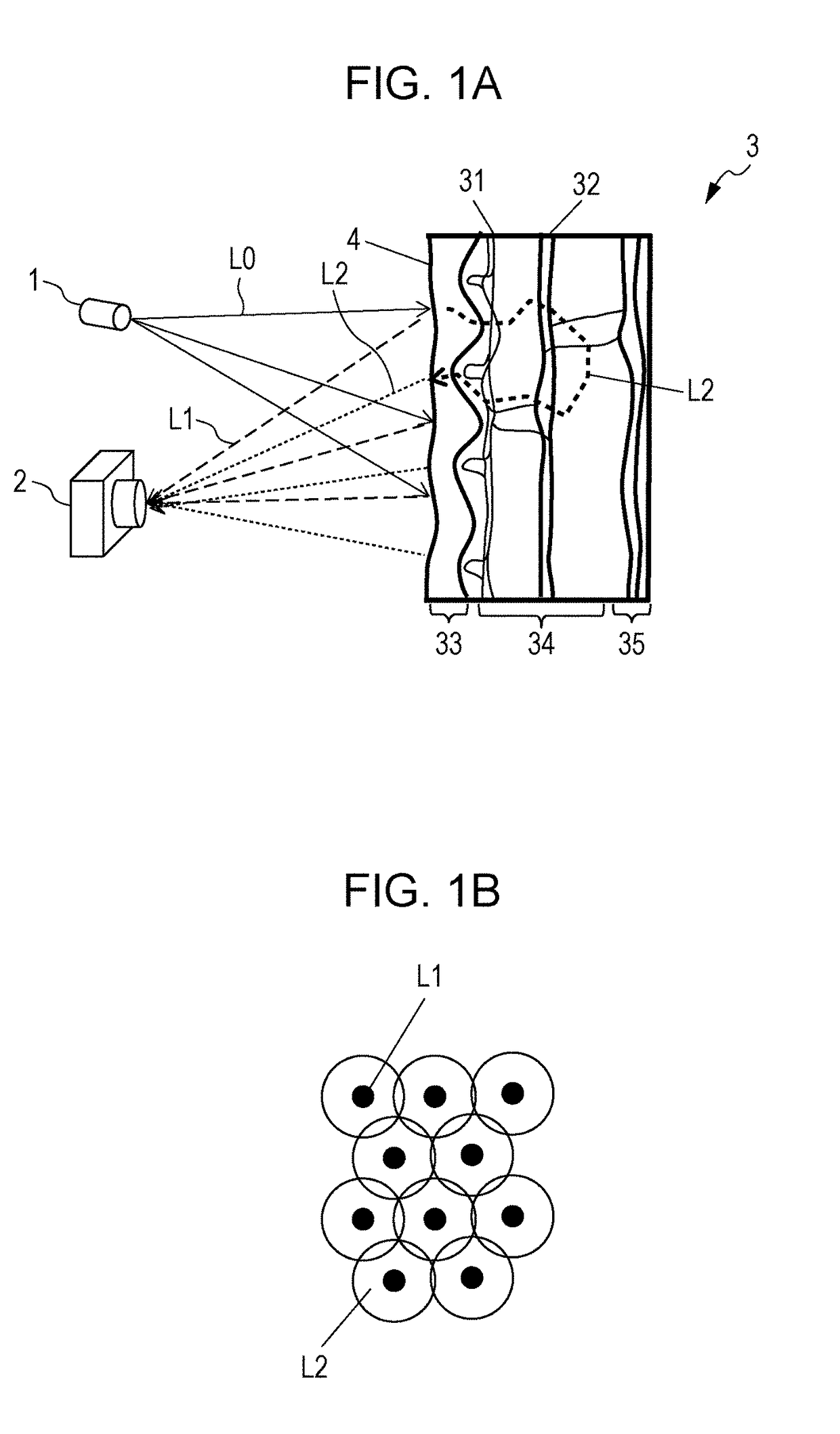 Biological information detection device using second light from target onto which dots formed by first light are projected