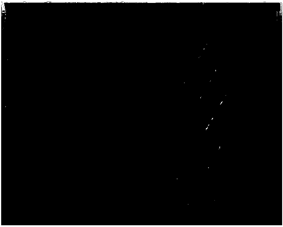 Texture synthesis-based model hole-filling method