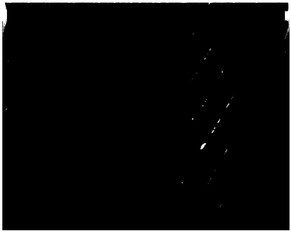 Texture synthesis-based model hole-filling method