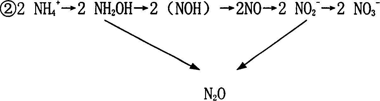 Disposable corn composite fertilizer and producing technique thereof