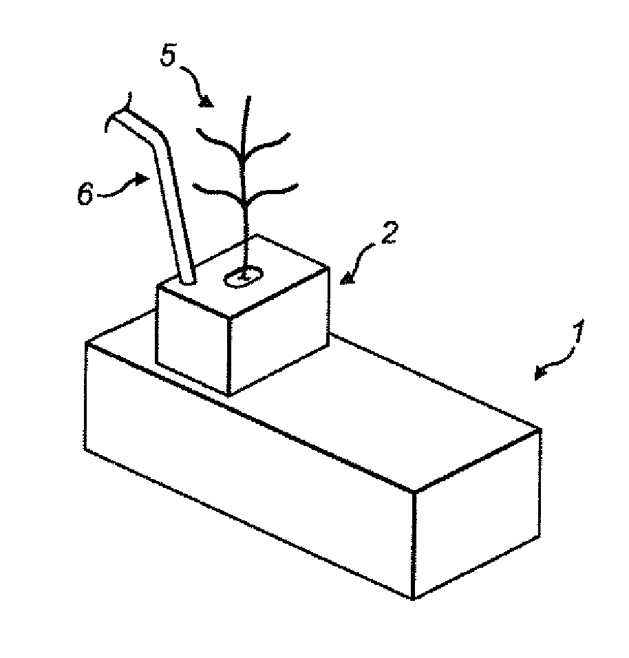 Plant growth system