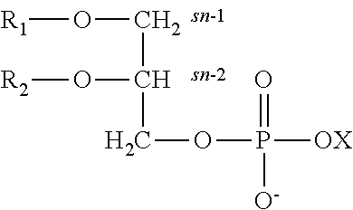 Glycerophospholipids for the improvement of cognitive functions