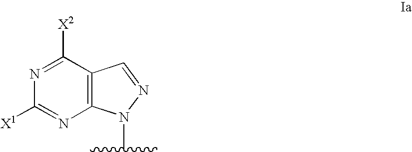 Modified oligonucleotides for mismatch discrimination