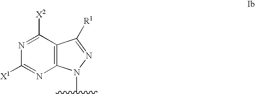 Modified oligonucleotides for mismatch discrimination