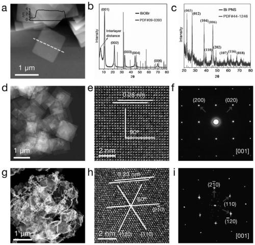 Nanometer bismuth catalyst and preparation method and application thereof