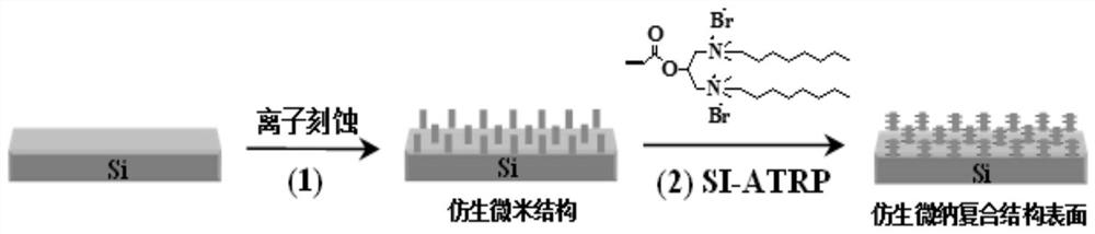 Preparation method of antibacterial and bactericidal functional surface