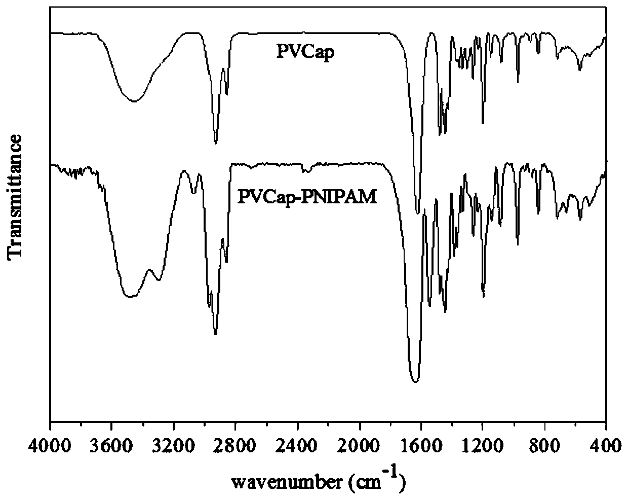 Amide copolymer hydrate kinetic inhibitor and application thereof