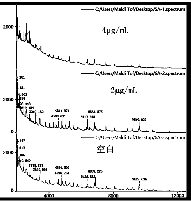 Method for detecting drug sensitivity rapidly