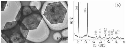 Halogen anion intercalated hydrotalcite positive electrode material, preparation method thereof and halogen anion battery