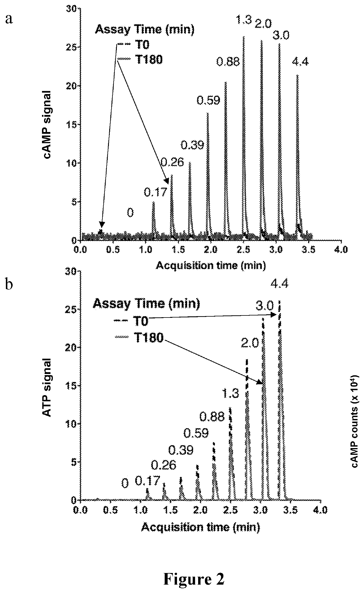 Inhibitors of soluble adenylyl cyclase