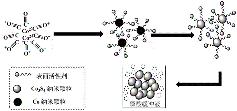 Preparation of cobalt sulfide nanomaterial and method for detecting hydrogen peroxide