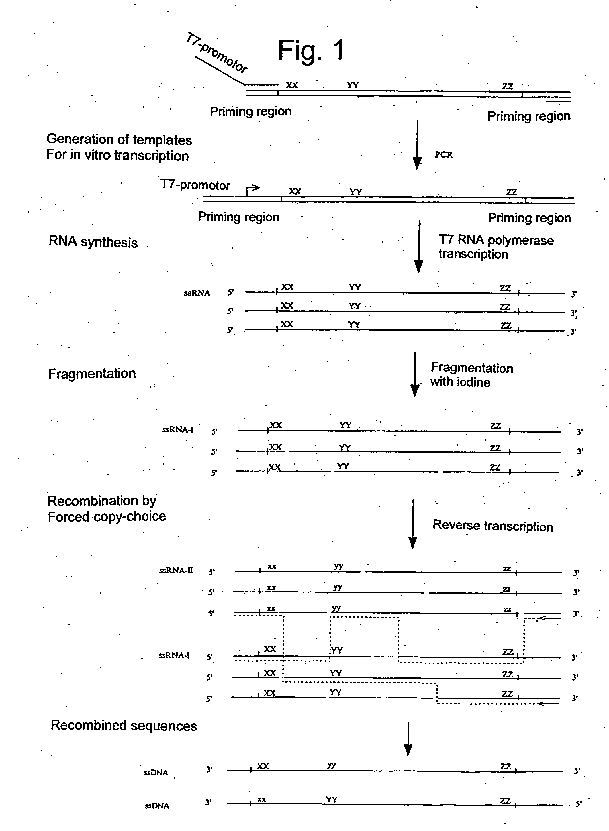 Gene shuffling by template switching