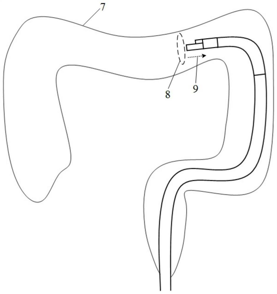 A three-dimensional photoacoustic endoscope in a curved cavity based on the direction change of snake bone and its imaging method