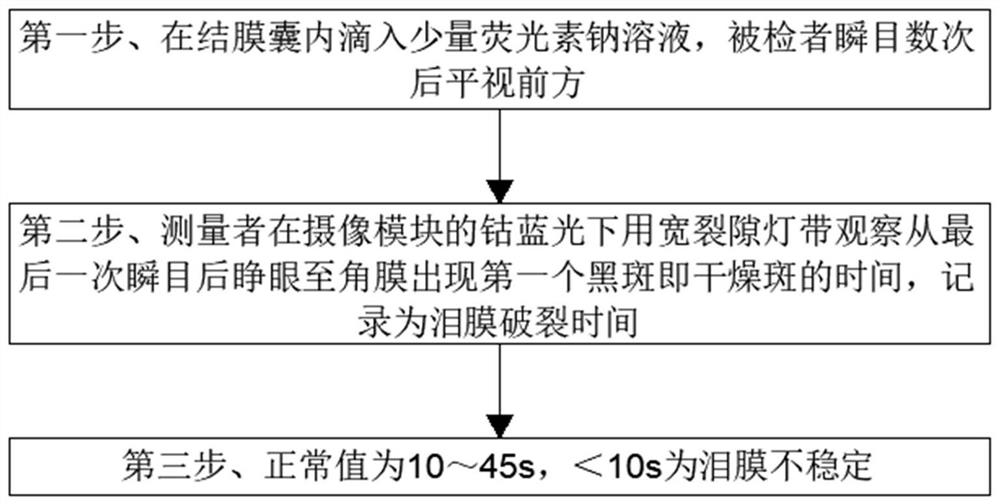 System for detecting degree and level of xerophthalmia