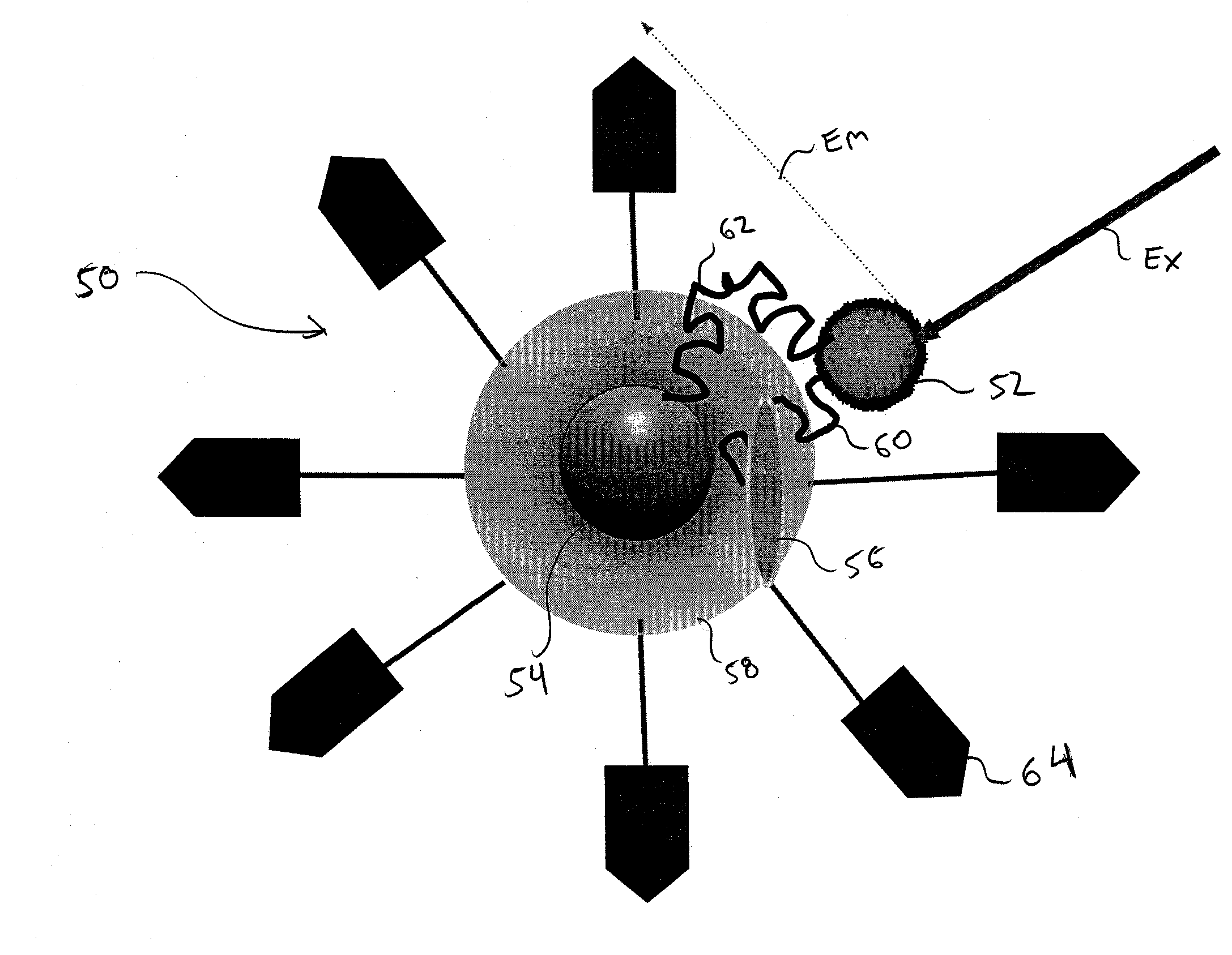 Site specific fluorescence and contrast marker for same