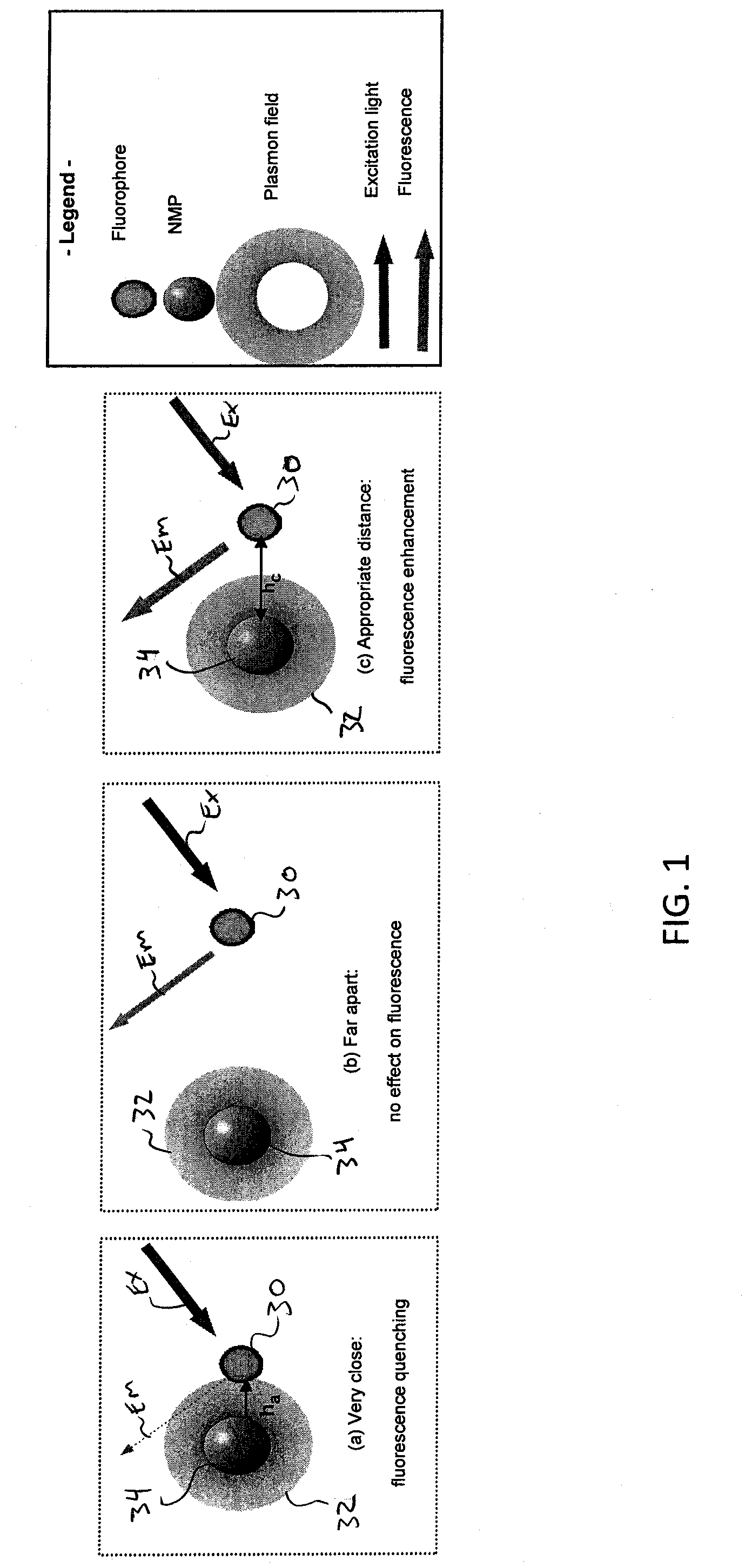 Site specific fluorescence and contrast marker for same