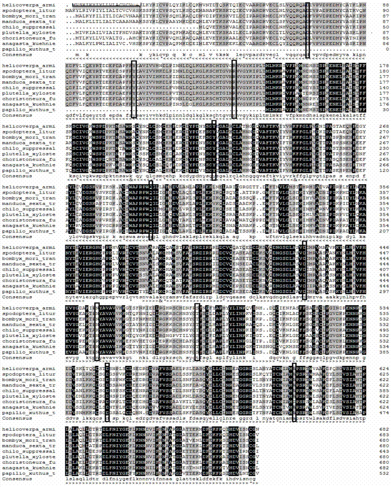 Cotton bollworm transferrin gene HaTrf and application thereof