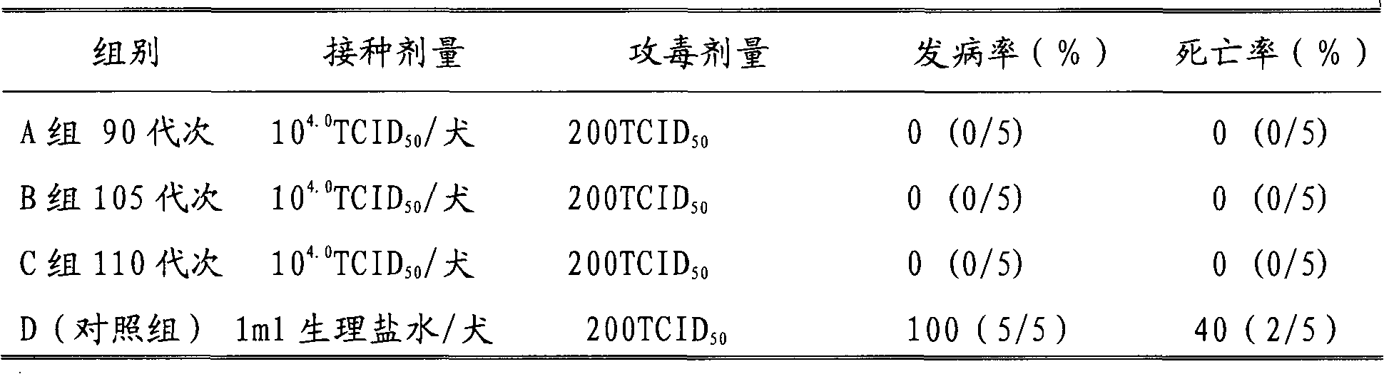 Dog parvovirus attenuated vaccine strain and application thereof