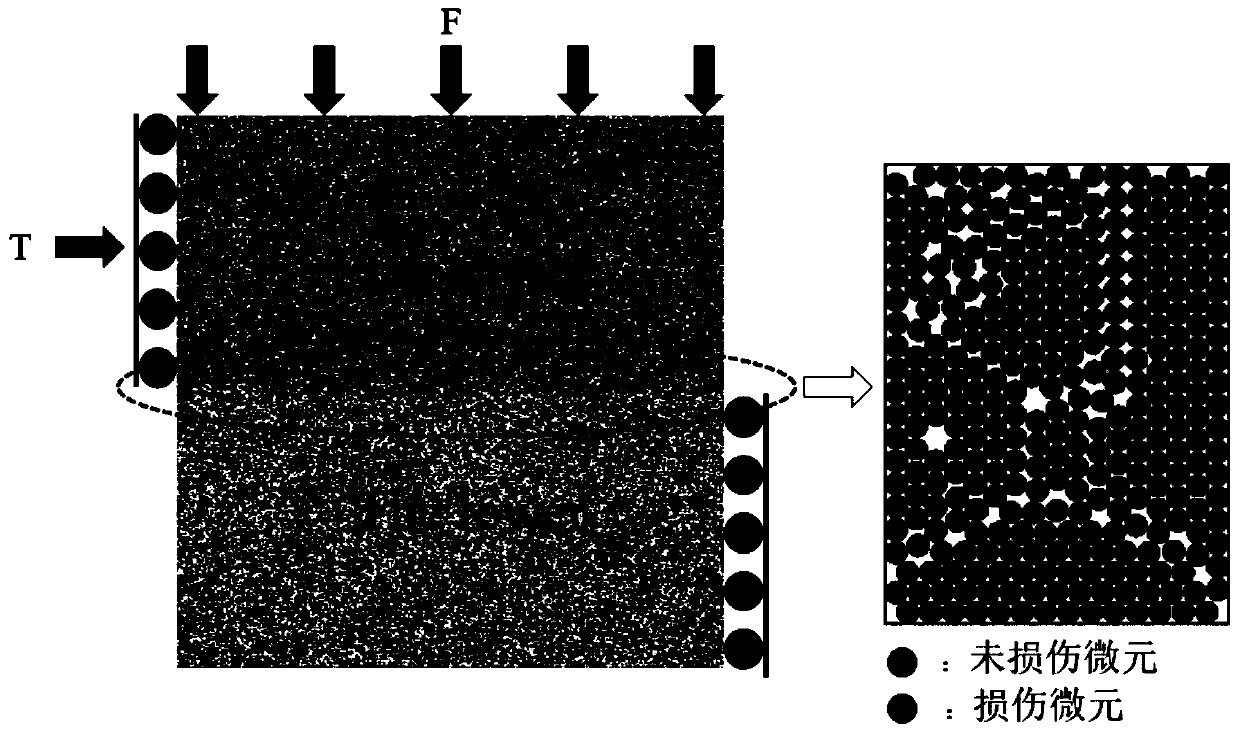 Method for improving structural plane shear damage constitutive model of Harris distribution