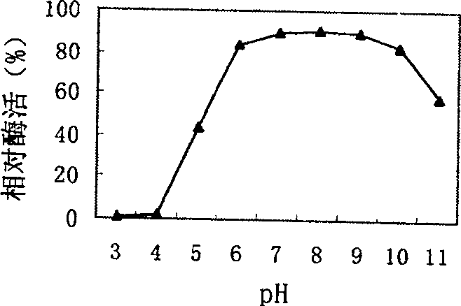 Production of proteinase from gene recombinant pichia stipitis