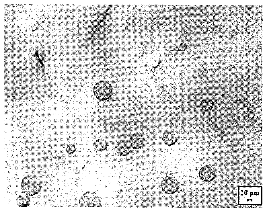 Laser surface cladding method of straightening roller