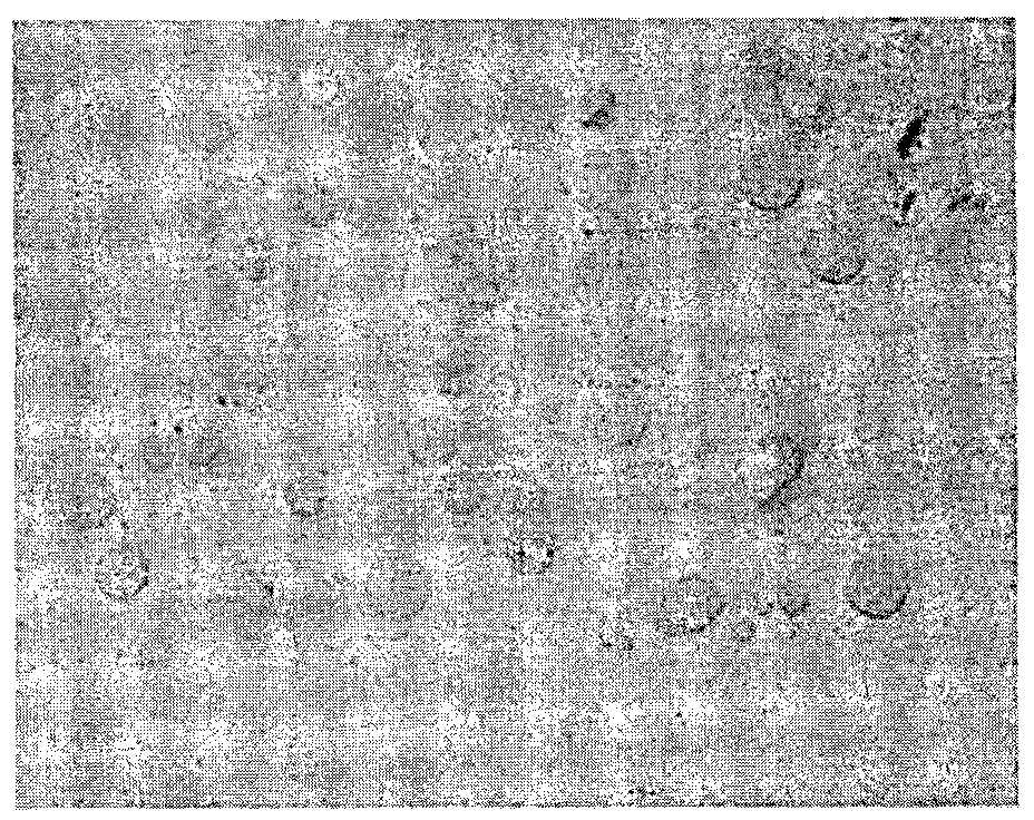 Laser surface cladding method of straightening roller