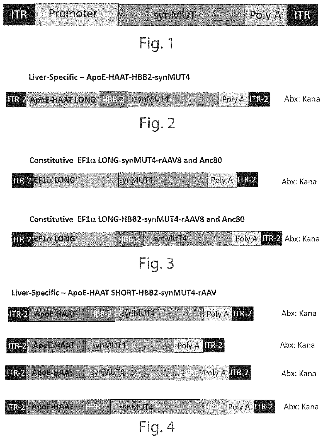 Methods and compositions of mma constructs and vectors