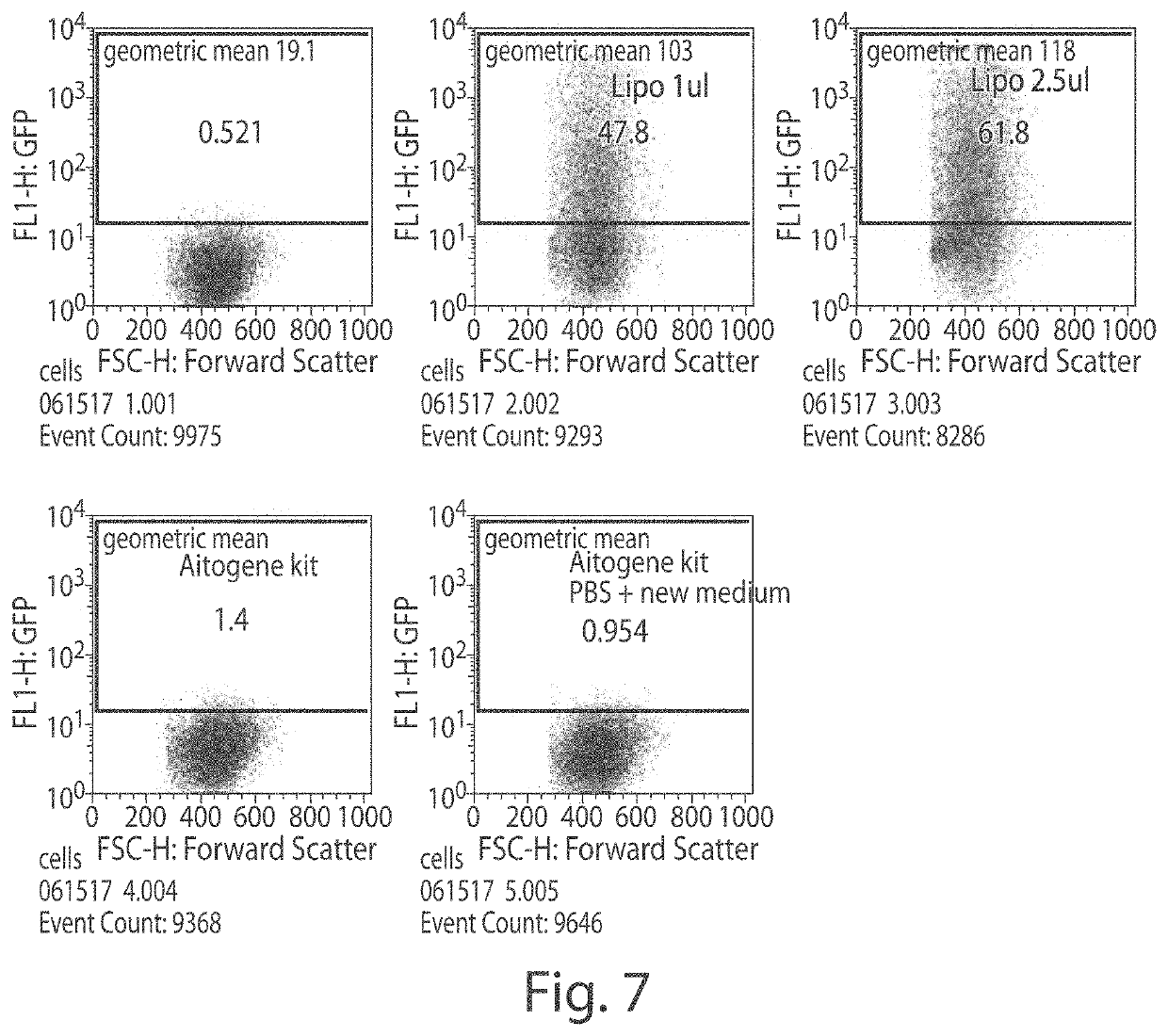 Methods and compositions of mma constructs and vectors