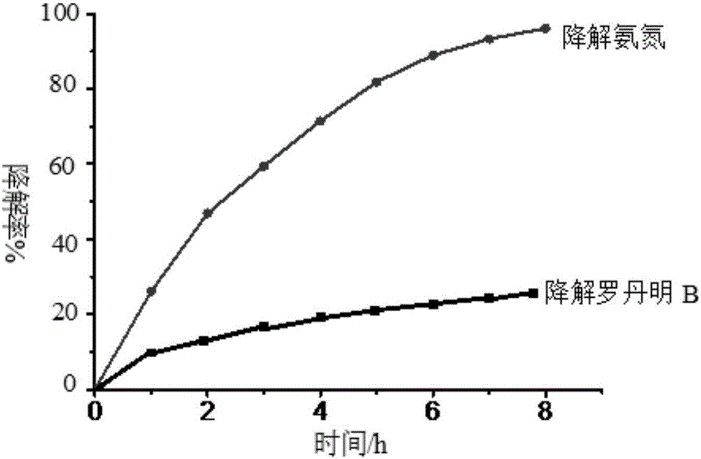 Activated carbon-cobalt ferrite composition material, preparation method thereof and application to photocatalytic denitrification