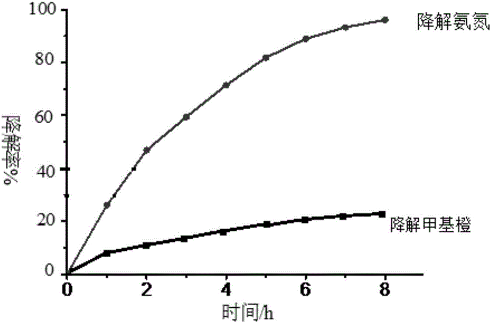 Activated carbon-cobalt ferrite composition material, preparation method thereof and application to photocatalytic denitrification