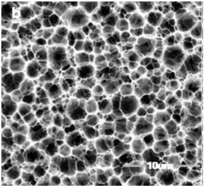 Gel film for cleaning mildew and dust on surface of cultural relic