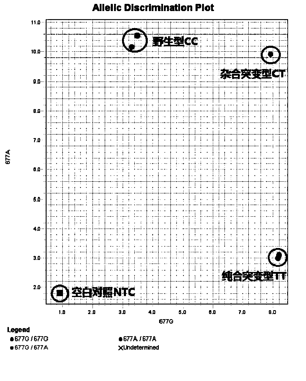 Method for detecting polymorphism of MTHFR gene through fluorescent quantitative PCR